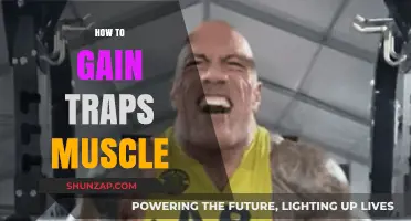 Effective Traps Workout: Build Stronger, Bigger Trapezius Muscles Fast