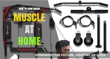 Effective Home Tricep Workouts: Build Muscle Without Equipment