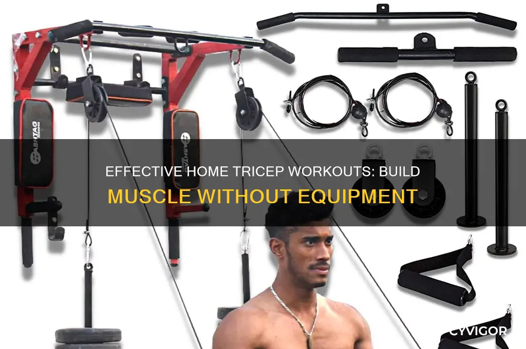 how to gain tricep muscle at home