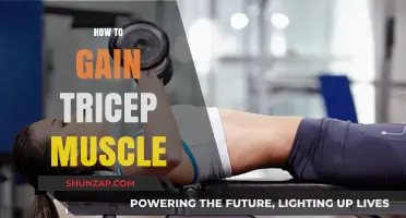 Effective Tricep Building: Proven Strategies for Bigger, Stronger Arms