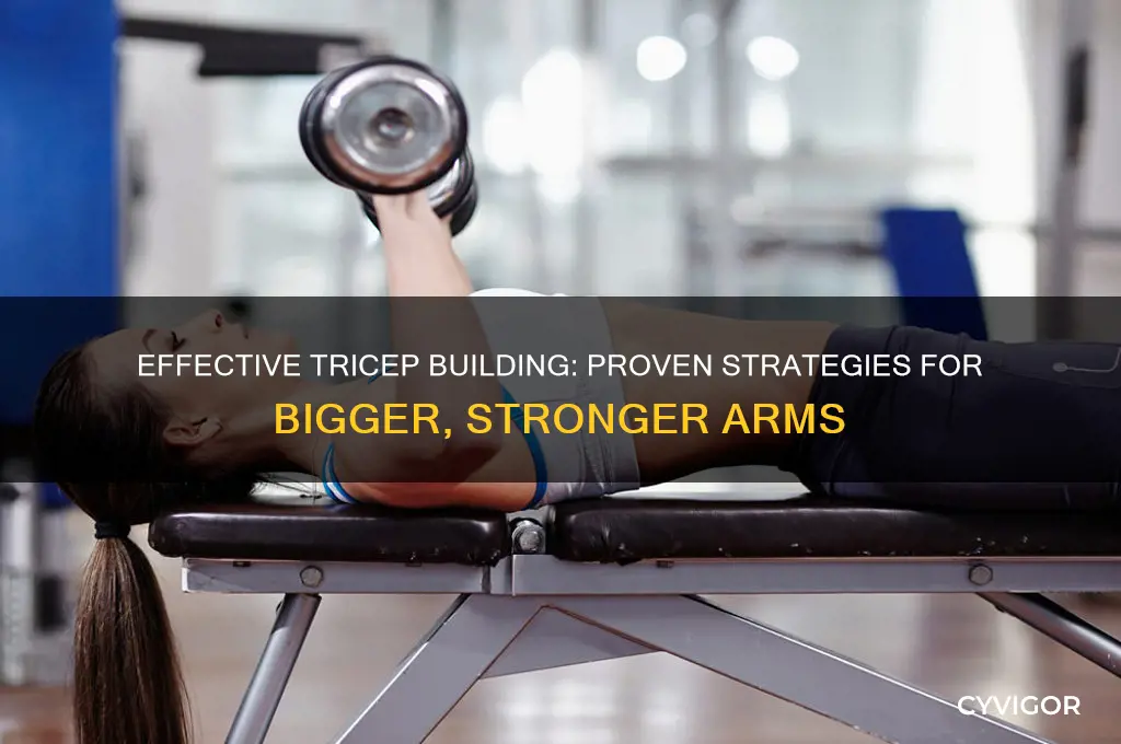 how to gain tricep muscle