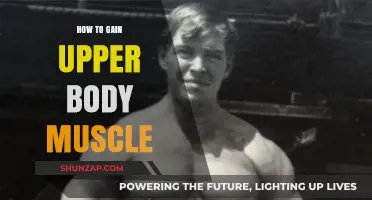 Effective Strategies for Building Upper Body Muscle Mass Fast