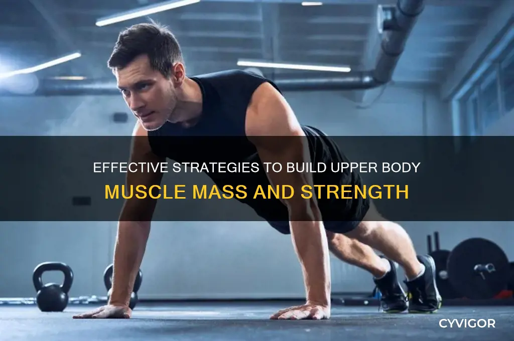 how to gain upper cbody muscle