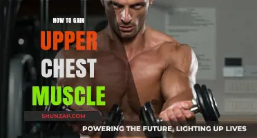 Effective Upper Chest Workouts: Build Strength and Definition Fast