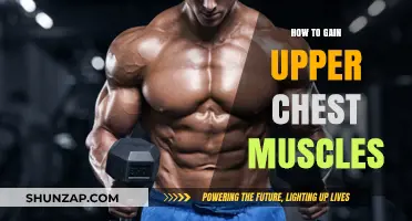Sculpt a Powerful Upper Chest: Proven Workouts and Techniques