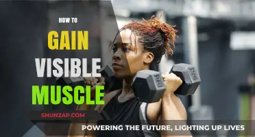 Effective Strategies for Building Visible Muscle Mass and Definition