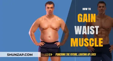 Effective Strategies to Build and Strengthen Your Waist Muscles