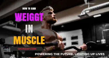 Effective Strategies for Building Muscle Mass and Gaining Weight