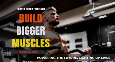 Effective Strategies for Weight Gain and Muscle Building Naturally