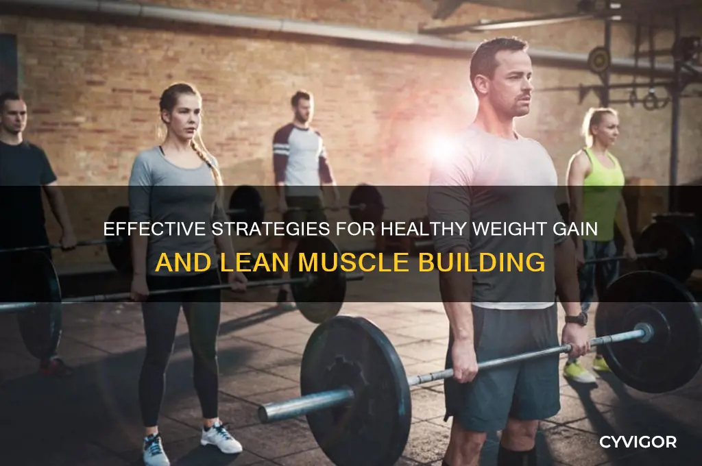 how to gain weight and lean muscle
