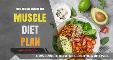 Effective Diet Plan for Muscle Gain and Healthy Weight Increase