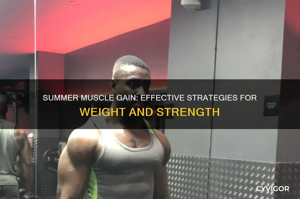 how to gain weight and muscle during the summer