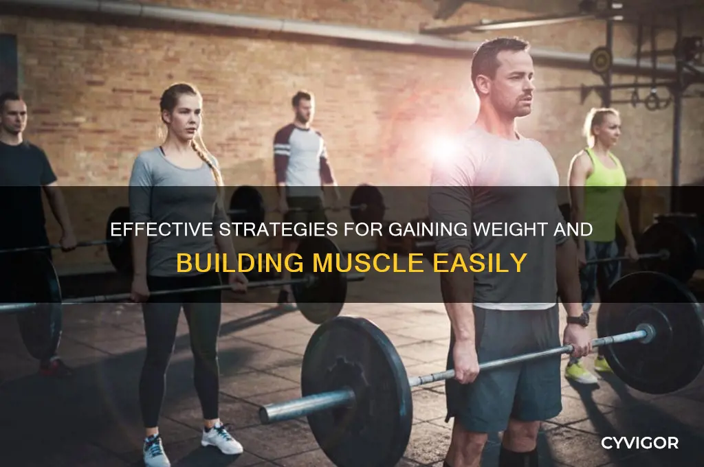 how to gain weight and muscle easily