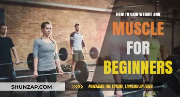 Beginner's Guide to Healthy Weight Gain and Muscle Building