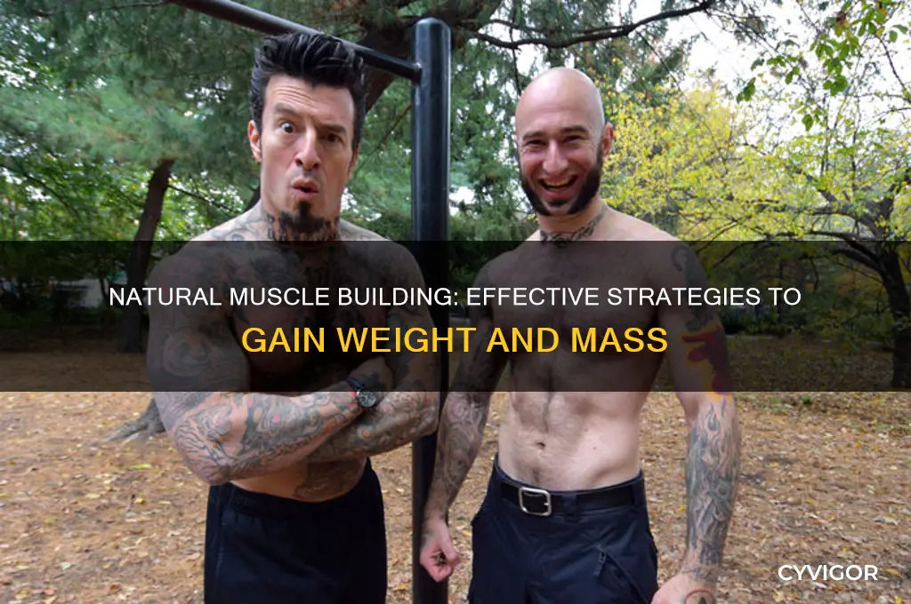 how to gain weight and muscle mass naturally