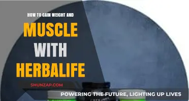 Herbalife Weight Gain and Muscle Building: A Comprehensive Guide