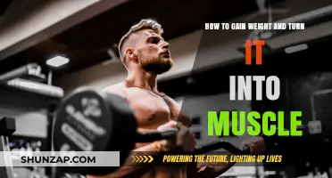 Build Muscle Mass: Effective Strategies for Healthy Weight Gain
