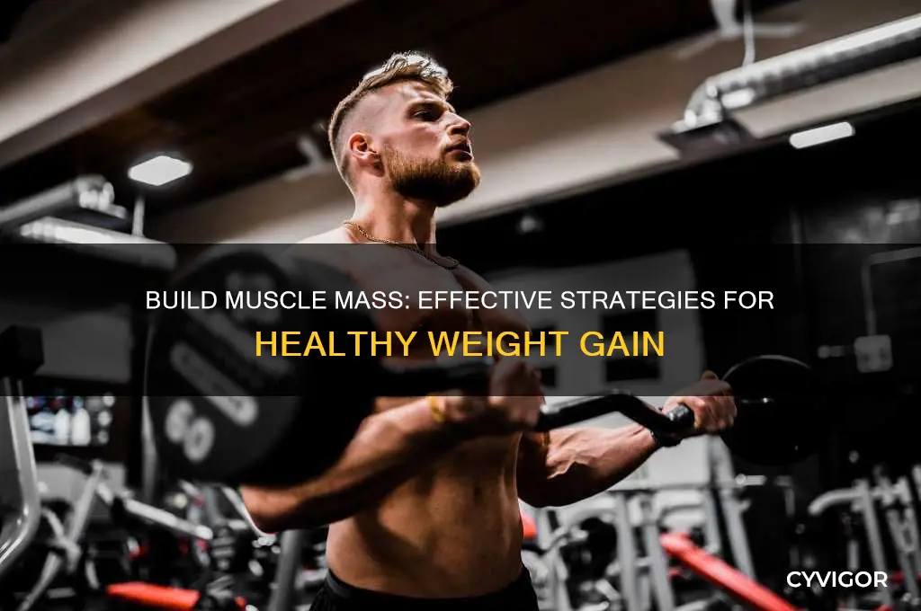 how to gain weight and turn it into muscle