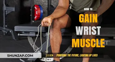 Effective Wrist Muscle Building: Strengthen and Tone with Targeted Exercises