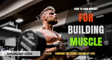 Effective Strategies to Gain Weight and Build Muscle Mass Fast