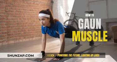 Building Muscle: Strategies for Effective Muscle Gain