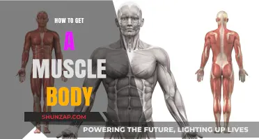 Sculpting Strength: A Guide to Building Your Dream Muscle Body