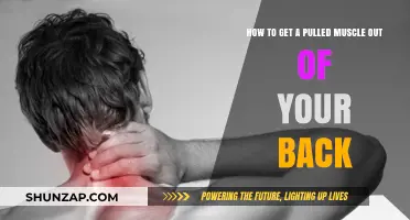 Effective Ways to Relieve and Heal a Pulled Back Muscle Fast