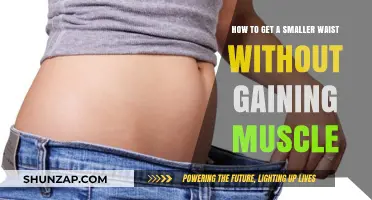 Slim Waist Secrets: Lose Inches Without Building Muscle Mass