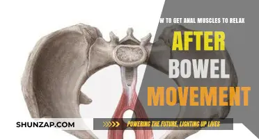 Relaxing Anal Muscles Post-Bowel Movement: Simple Techniques for Comfort