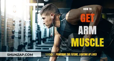 Building Arm Muscle: A Comprehensive Guide to Toned Arms