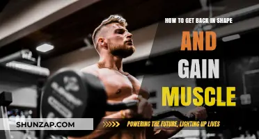 Revitalize Your Body: Effective Strategies to Rebuild Strength and Muscle