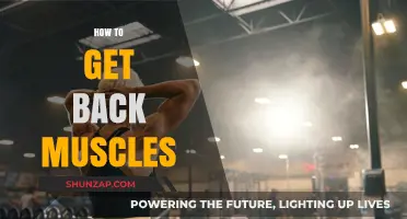 Strengthen Your Back: A Guide to Building Powerful Muscles