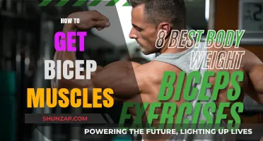 Building Biceps: A Comprehensive Guide to Toned Arms