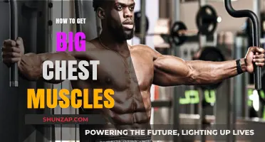 Unlocking Your Chest Potential: A Guide to Bigger, Stronger Muscles