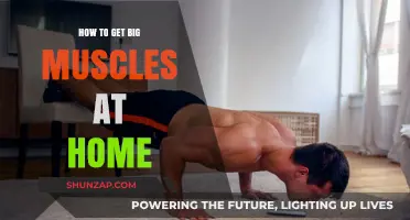 Home Fitness Revolution: Building Big Muscles Without the Gym