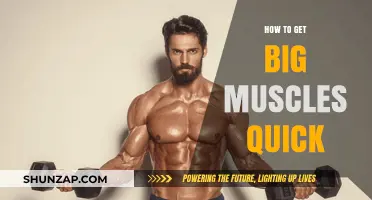 Fast Track to Massive Muscles: A Comprehensive Guide