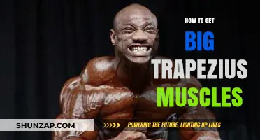 Build Impressive Trapezius Muscles: A Comprehensive Guide
