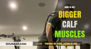 Building Bigger Calves: A Comprehensive Guide to Calf Muscle Growth