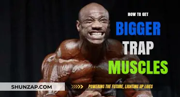 Build Bigger Traps: A Comprehensive Guide to Trap Muscle Growth