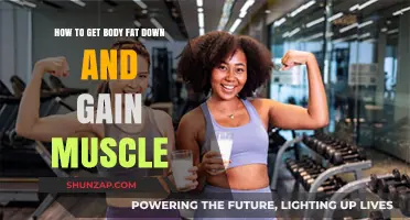 Effective Strategies to Reduce Body Fat and Build Muscle Mass