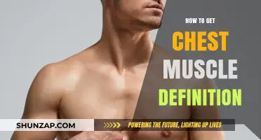 Sculpting Strength: A Guide to Defined Chest Muscles