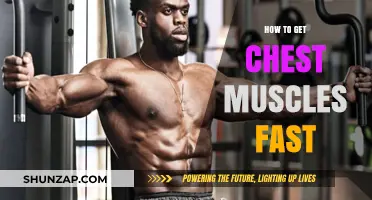 Sculpt Your Chest: Fast and Effective Muscle-Building Strategies