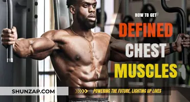 Sculpt Your Physique: The Ultimate Guide to Defined Chest Muscles