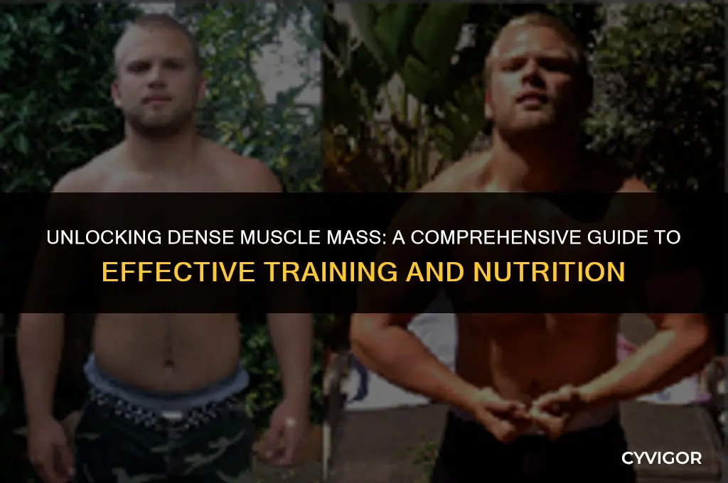 how to get dense muscle mass