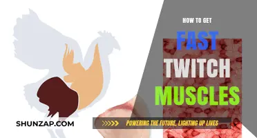 Unlocking Twitch Muscles: A Guide to Speed and Agility