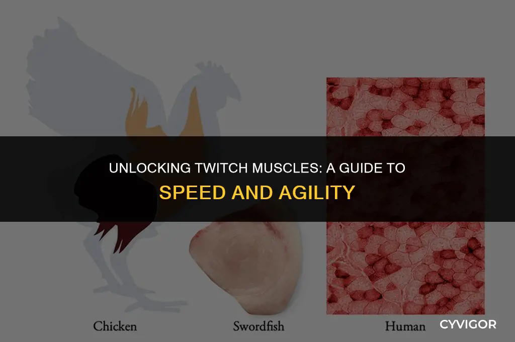 how to get fast twitch muscles