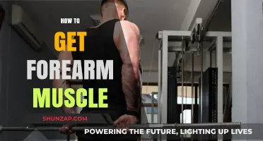 Building Forearm Strength: A Comprehensive Guide to Toned Arms