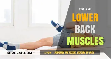 Strengthen Your Lower Back: A Guide to Building Powerful Muscles