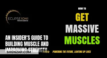 Unleash Your Inner Hercules: The Ultimate Guide to Building Massive Muscles