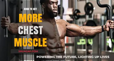 Unlocking Chest Gains: A Comprehensive Guide to Building Muscle